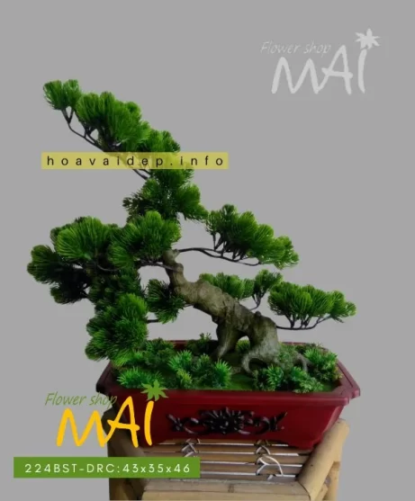 Cây tùng bonsai giả bằng nhựa 224BST