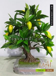 Cây xoài bonsai giả đẹp như thật 724CV2