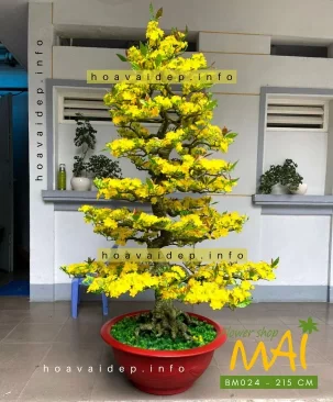 Chậu mai bonsai giả 215 cm BM024