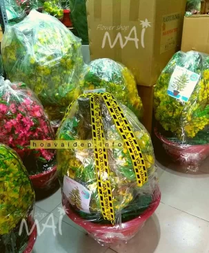 Chậu bonsai Mai Tết giả cao 1m45 - 419BM16