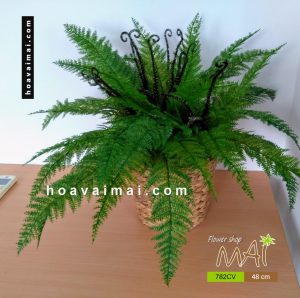 Chậu dương sỉ lá nhựa 782CV