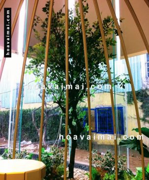 Cây xanh làm theo yêu cầu