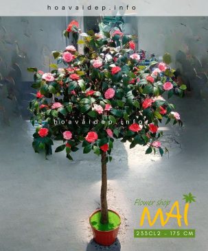 Cây hoa hồng trà my đẹp như thật 233CL