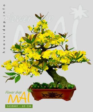 Chậu mai bonsai giả để bàn 60cm 565BM9