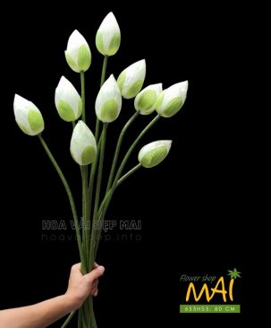 Cành Sen Quan Âm giả màu trắng xanh 653HS