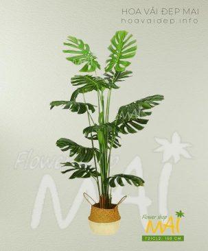 Trầu bà lá xẻ Monstera giả cao 721CL2