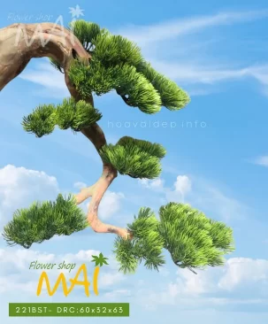 Cây tùng bonsai giả thân gỗ lũa 221BST