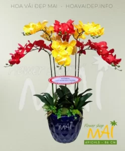 Chậu hoa khai trương hồng phát 691CHL3