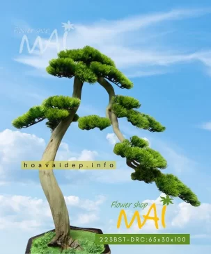 Cây tùng bonsai giả thác đổ cao 223BST