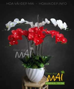 Chậu lan hồ điệp cao su trắng đỏ 638CHL2
