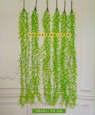 Bụi dây lá rũ cúc tần Ấn độ 602DL
