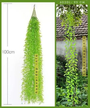 Bụi dây lá rũ cúc tần Ấn độ 602DL