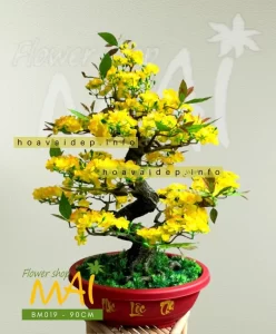 Chậu mai giả bonsai 90cm BM019