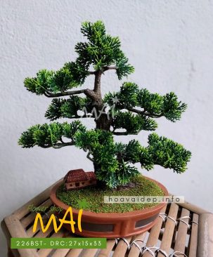 Cây tùng bonsai nhân tạo để bàn 226BST
