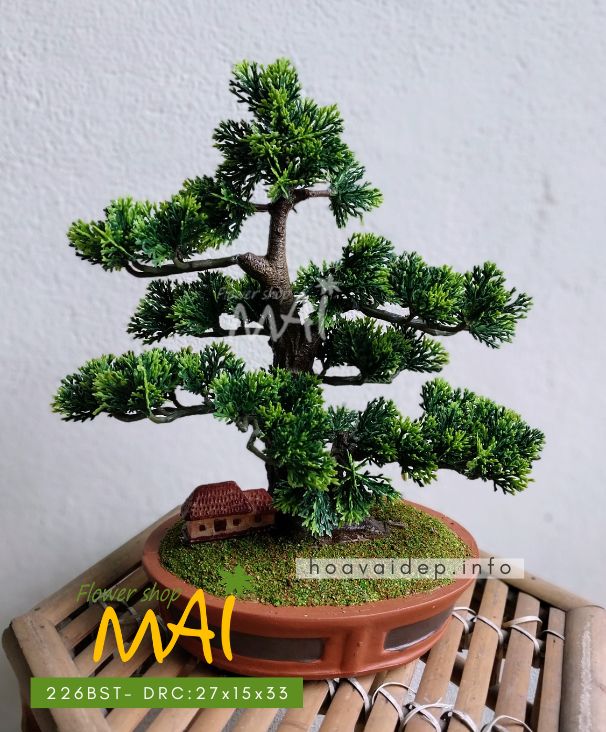 Cây tùng bonsai nhân tạo để bàn 226BST