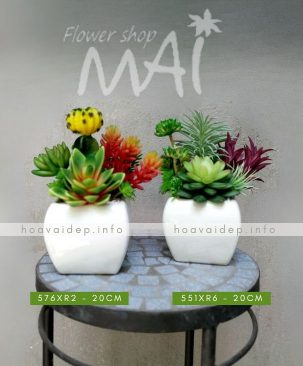 Lọ tiểu cảnh sen đá 576XR2