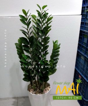 Cây kim tiền đẹp như thật 127CV