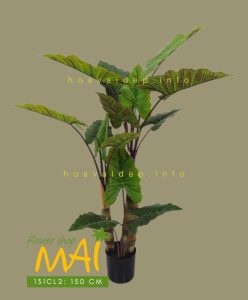 Cây khoai môn nước tự nhiên như thật 131CL cao 150 cm