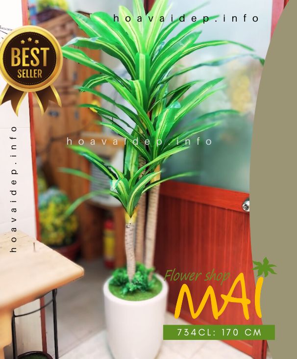Cây phát tài giả 3 thân cao 734CL