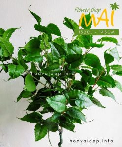 Cây bồ đề giả đẹp như như thật 132CL