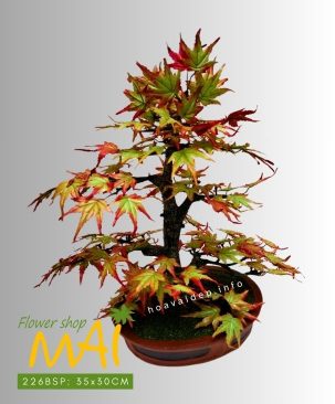 Cây lá phong bonsai giả để bàn 226BSP