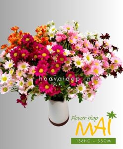 Cành cúc họa mi 16 bông giá tốt 136HC