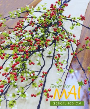 Cành sơ ri cổ trái trắng và đỏ 238CT