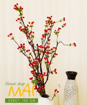 Cành sơ ri cổ trái đỏ 238CT