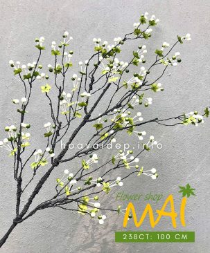 Cành sơ ri cổ trái trắng tuyết 238CT
