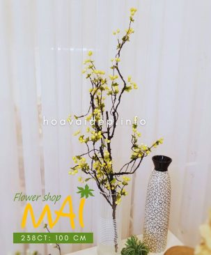 Cành sơ ri cổ trái vàng 238CT