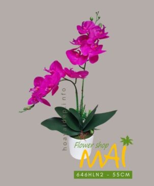 Lọ lan nhỏ 646HLN2